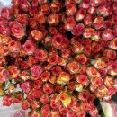 가람유치원 이미지