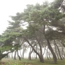 보은여인숙 이미지