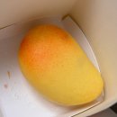 최가네빵 | 대구 아그작 케이크 맛집, 최가네 케익 망고 아그작 케이크 후기