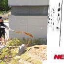 고운동_세종누리학교 뉴시스
