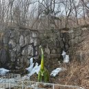 새순펜션 | 덕평공룡수목원 입장료 할인부터 주차 이동 동선 식당 카페 이용 꿀팁 총정리