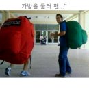 웃자웃자 이미지