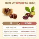 열매 이미지