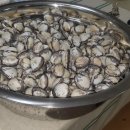 인이수산 이미지