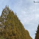 뚝방게스트하우스 이미지