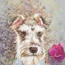 (주)예원통상 이미지