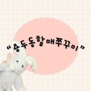 모란역 2번출구 | 성남시 성남동 모란역 2번출구 미나리 철판 쭈꾸미에...완벽 코스❗️“용두동할매쭈꾸미”내돈내산 후기