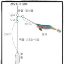 갑오징어 채비 이미지