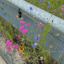 산마루쉼터 | 창원 도계동 "산마루카페" – 조용한 언덕 위 야외 테라스 감성카페