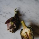 불로초 한의원 이미지