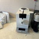 슬기로운유라생활 이미지