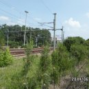 도수농장 이미지