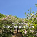 서울근교 축령산, 서리산 철쭉 산행 후기