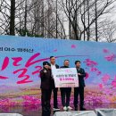 제32회 여수영취산진달래축제 이미지