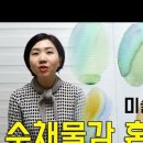 수채화 어반스케치 이미지