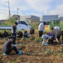 포리초등학교 이미지