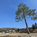 이일 장군 묘 | <용인> 경기도 남부 아이와 가볼만한곳 산책로 여행지-정몽주선생묘