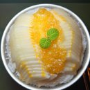 베스트애견 이미지