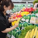 산지뚝심 이미지