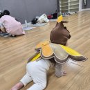 두 손 잡고 랄랄라 | 롯데마트 문화센터 랄랄라 코알라 짹짹짹 친구들 수업 후기