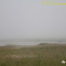 학암포 황금펜션 이미지