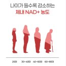 수원역365약국