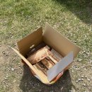 사나래글램핑장 | 경기도 양평 용문 글램핑장, 사나래글램핑 방문후기!