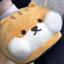 다람쥐신발 이미지