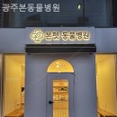 광주 본 동물병원 이미지
