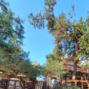 양평그린클로버 이미지