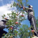 장수읍안양마을로 이미지