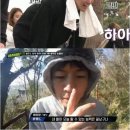 버저비터 이미지