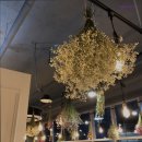 중앙동217 | 창원, 중앙동, 카페, 데이트. 추천 하삼동커피 창원중앙점 커피 맛이 특별한 하삼동커피