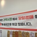 신원동 신재래시장 후기 | 아침 오픈런 vs 마감 할인 꿀팁🍅🥬