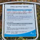 흥농종묘사 이미지