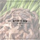 참나무능이버섯백숙 이미지