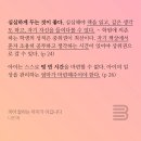 어휘력이 늘어나는 한자(B) | &lt;국어 잘하는 아이가 이깁니다&gt; 나민애 지음 Ι 서울대 교수 엄마의 명쾌한 독서 로드맵 &amp; 유쾌한 믿음...