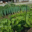 세곡농장 이미지