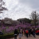 진달래유치원 이미지