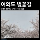 벚꽃에눈이내리면 이미지