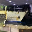 새부산식당 | 뉴 카멜리아호 2등실 다인실 꿀팁 음식반입, 매점, 흡연, 멀미약 후기