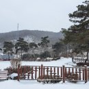 (주)세종기술 이미지