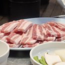 페리토 | 퇴근 후 강아지 산책하는 일상기록 1월 4째주 목요일