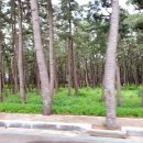 간절곶달빛민박 | 동해안 해파랑길 고성 통일전망대에서 부산 오륙도 해맞이공원 라이딩후기/ 770km 자전거로 달리다