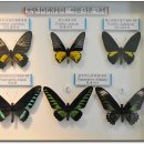 레스토리 이미지