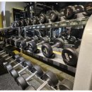 트랜스핏짐 이미지