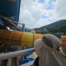 (주)오션게이트코리아 | 홍천 오션월드 초등 아이랑 하루 동선 후기