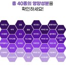 슈파클 | 헬스영양제 흡수율 높인 L아르기닌 닥터슈퍼클 아르기닌 새콤한맛