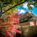 하단동1207 이미지