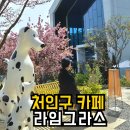 라임테이블 | 처인구 카페 감성 미쳤다 라임그라스 무료 불멍 내돈내산